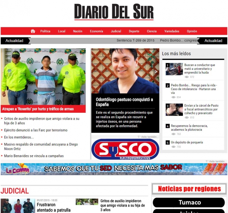 "Diario del Sur" Website